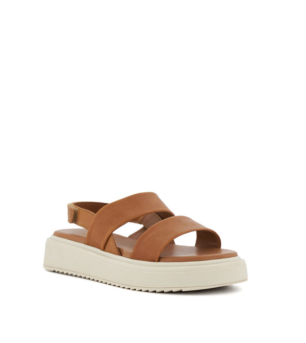 TAN